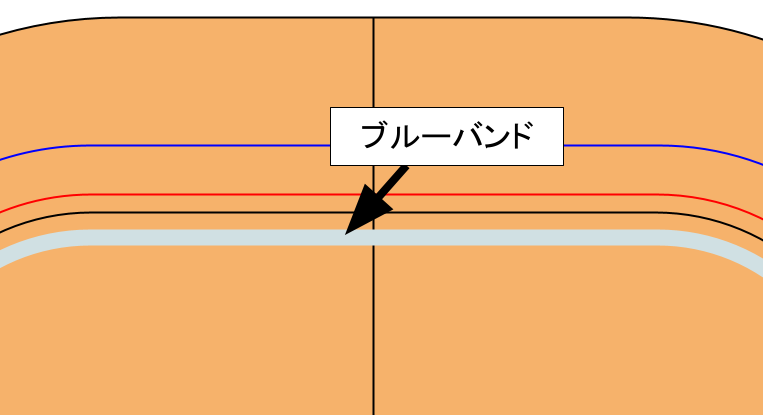 マディソンとは？初心者でも簡単にわかるようにルールを解説します 