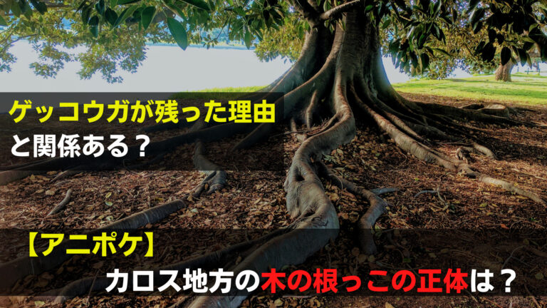 アニポケのカロス地方に出た根っこは何 ゲッコウガが残った理由はコレ 関心あること 悩みごと