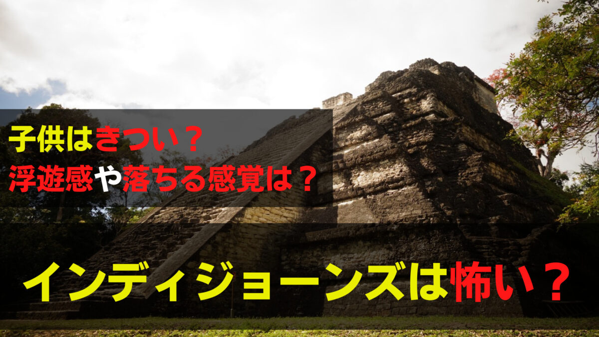 インディージョーンズは怖い？子供はきついけど浮遊感は落ちなくなった？ 関心あること、悩みごと